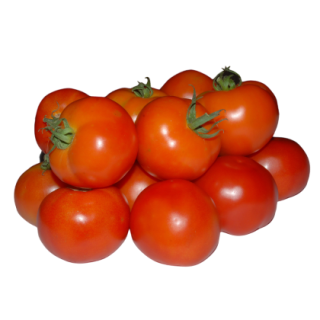 Laksh Tomato From Known You Seed (India) (1)-KYI